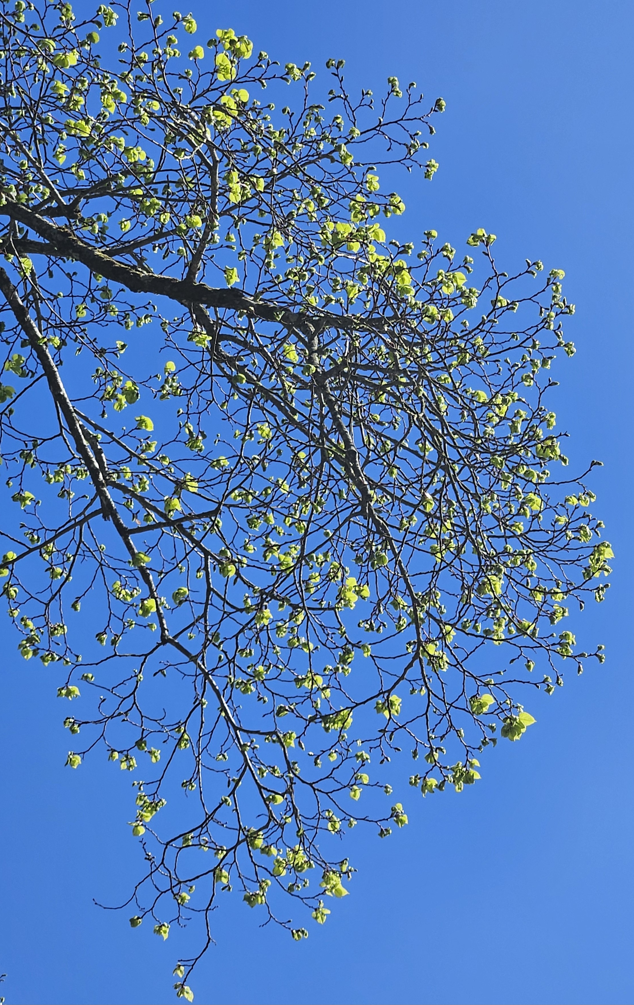 SÃ©ance de sophrologie et relaxation pour habitant de PirÃ©-sur-Seiche