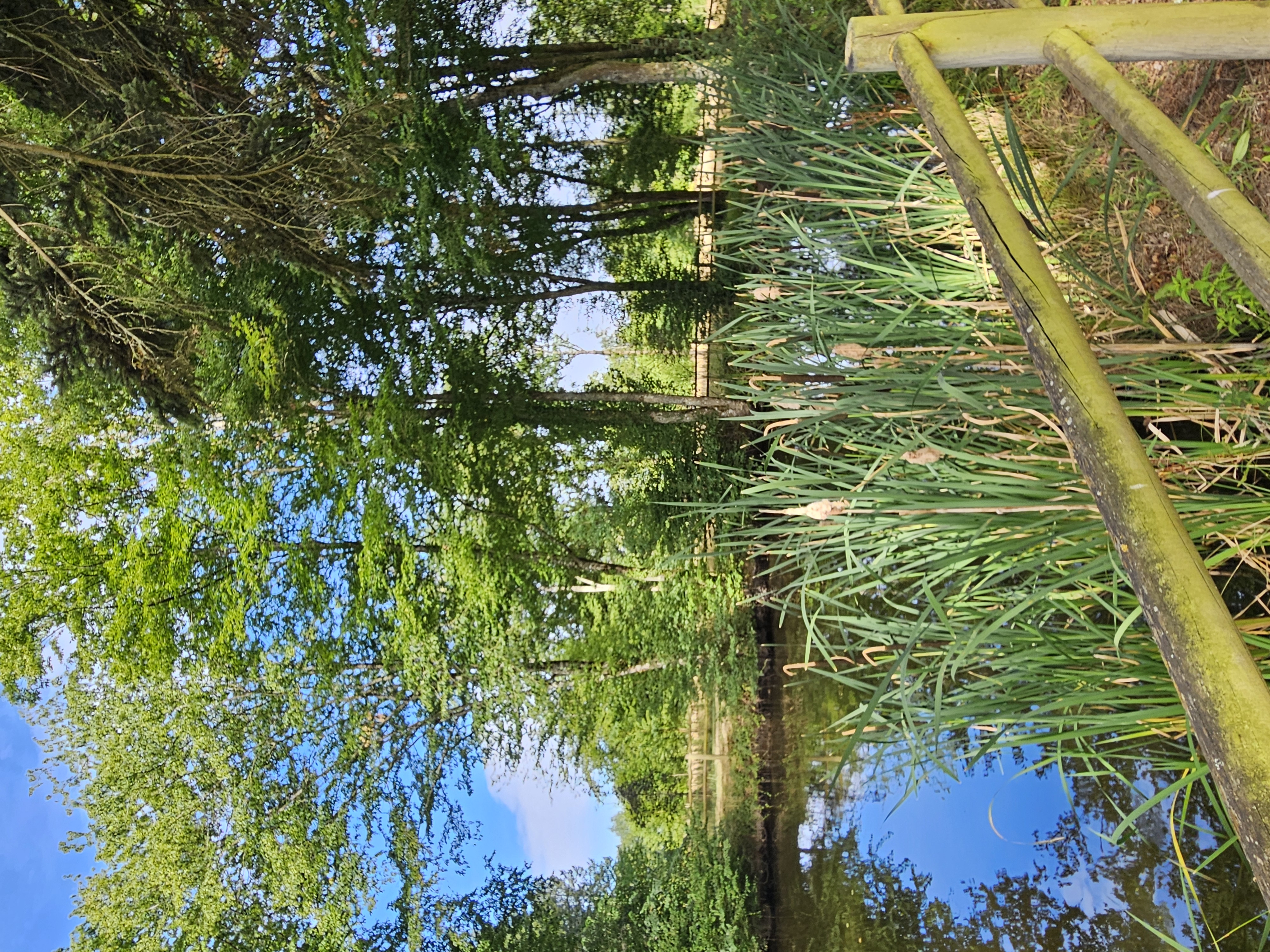 Sophrologue Piré-sur-Seiche