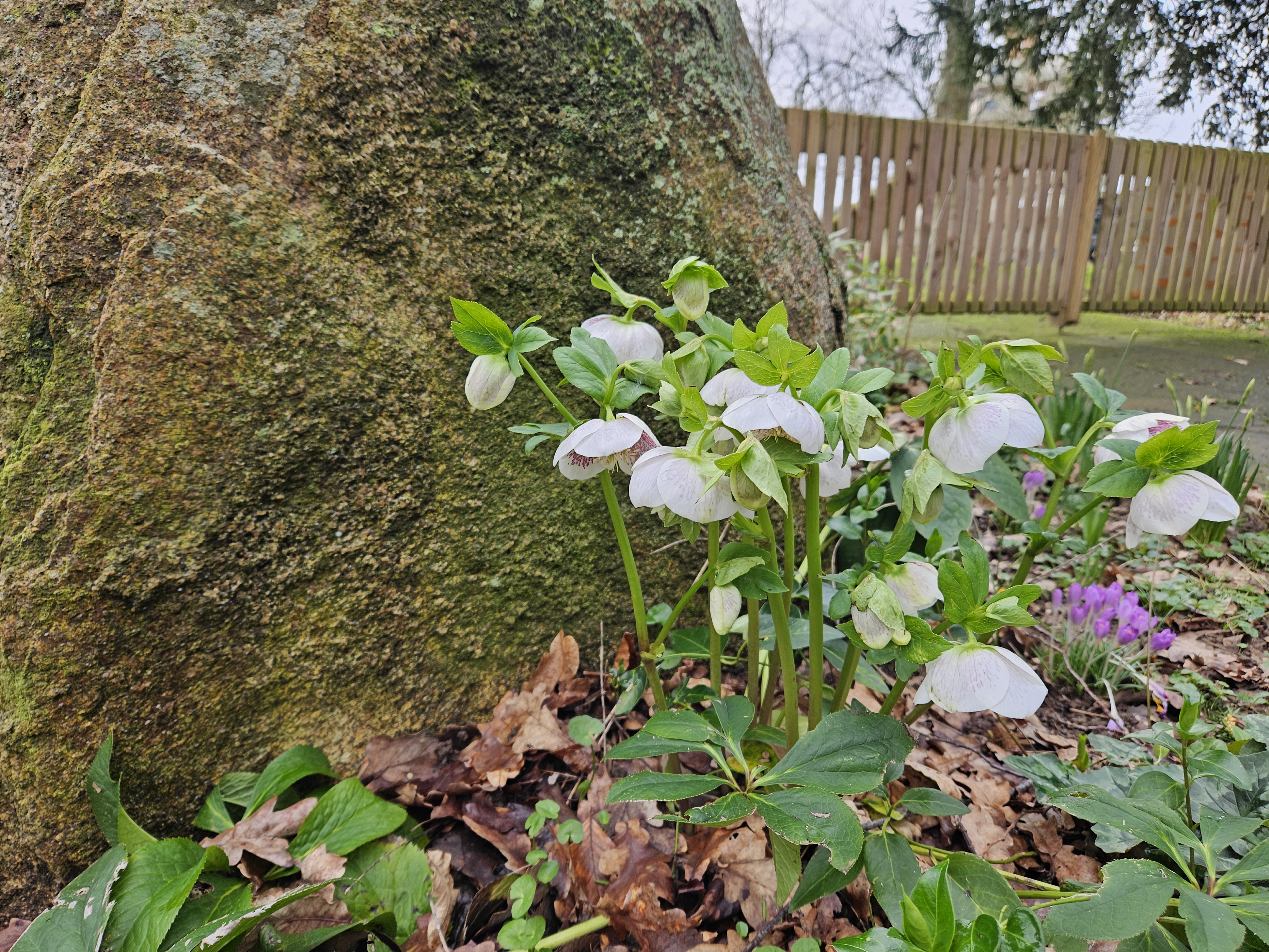 RÃ©servation en ligne sophrologue Moulins